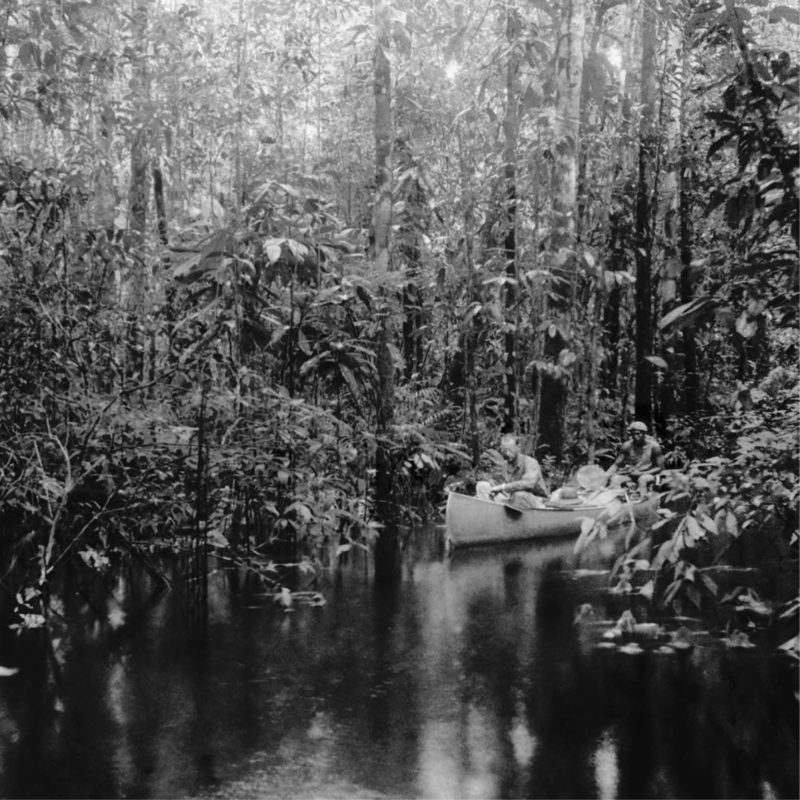 lost amazon traveling exhibition photography