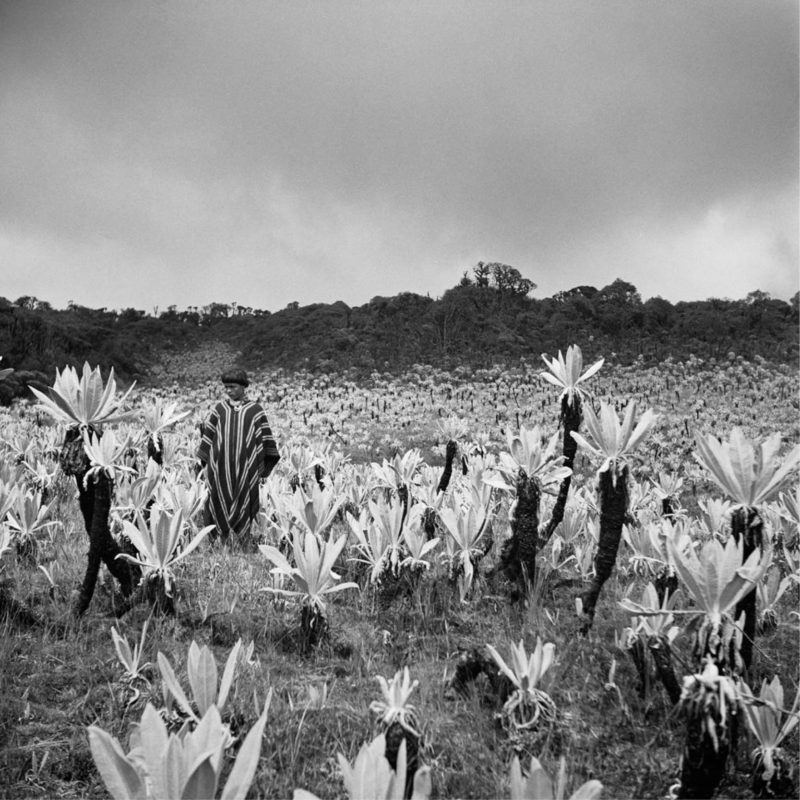 lost amazon traveling exhibition photography