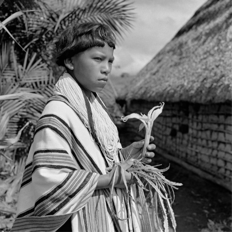 lost amazon traveling exhibition photography