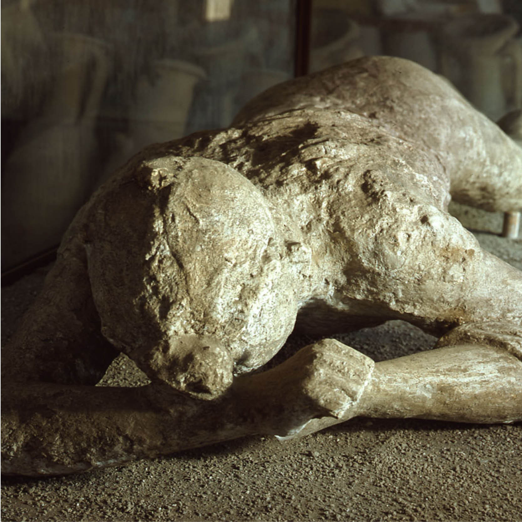 Pompeii | The Immortal City - Exhibits Development Group