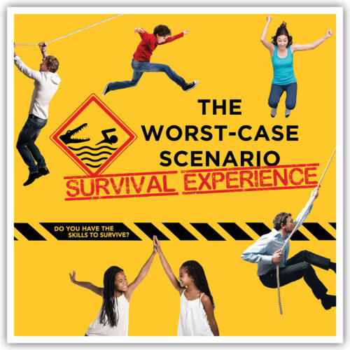 The Worst-Case Scenario