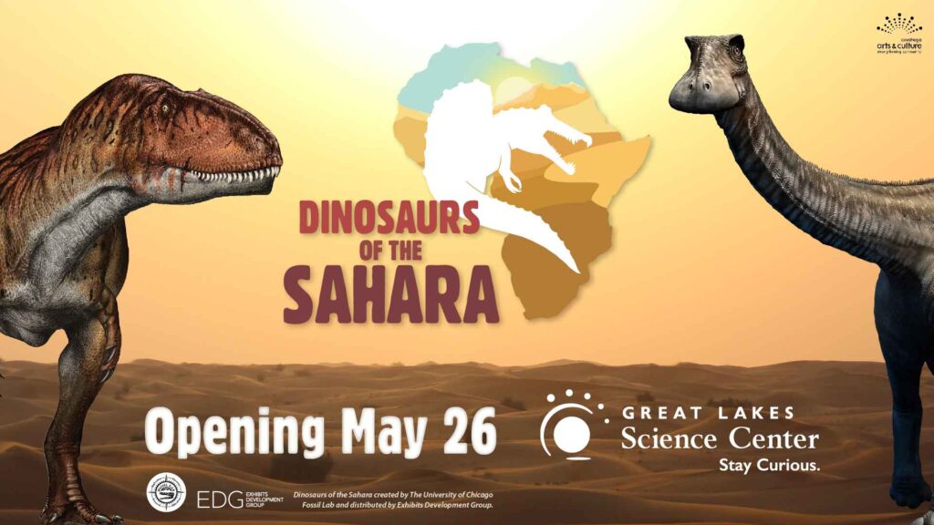 Dinosaurs of the Sahara